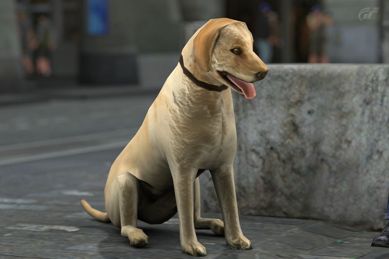 Illustration for article titled This Gran Turismo 5 Dog Finishes In Last Place